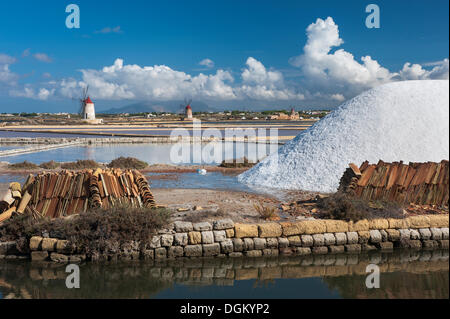 Salz, Vorrat, Wasserbecken und Kanal, Windmühlen bei Salzernte in Salinas, Bei Trapani, Sizilien, Italien Stockfoto