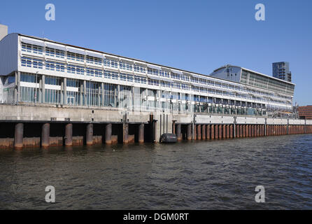 Kreuzfahrt-Terminal, der Hamburger Hafen, Altona, Hamburg Stockfoto