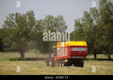 Traktor mit Anhänger, Heuernte Stockfoto