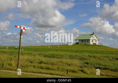 NABU-Haus auf einer Warft, Schafe auf einem Hügel und eine Verkehrssperre Schilder, Hamburger Hallig, Nordfriesland, Schleswig-Holstein Stockfoto