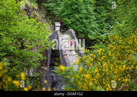 Eine Frau wandern über die Ponte Romano Brücke in der Nähe von Intragna, Centovalli, Tessin, Schweiz, Europa Stockfoto