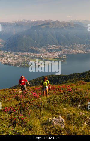 Mann und Frau wandern inmitten von blühenden Rhododendron auf dem Monte covreto, mit Blick auf den Lago Maggiore in Richtung der Maggia Delta Stockfoto