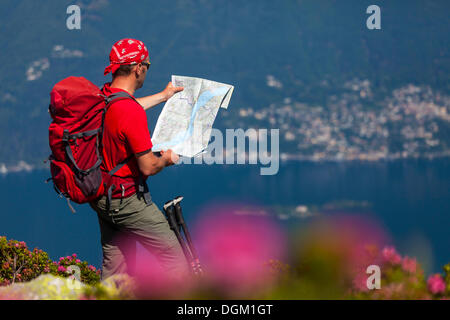 Mann Studium der Trail Karte beim Wandern am Monte covreto, Lago Maggiore, Tessin, Schweiz, Europa Stockfoto