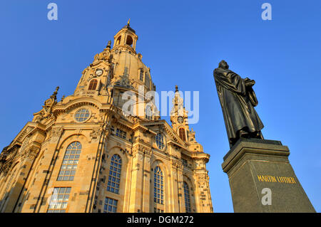 Martin Luther-Denkmal vor der Frauenkirche Frauenkirche, Dresden, Sachsen Stockfoto