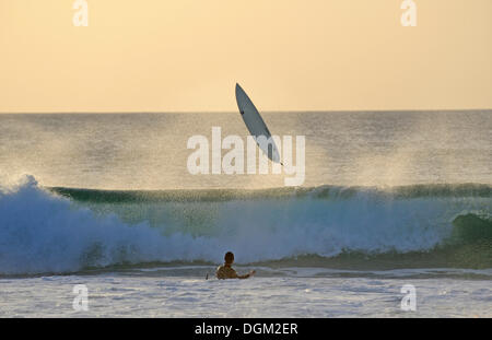 Surfer am Strand von El Cotillo, Fuerteventura, Kanarische Inseln, Spanien, Europa Stockfoto