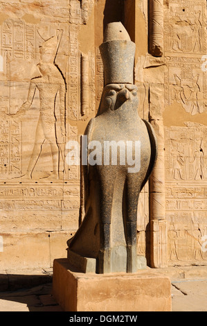 Kolossale schwarzer Granitstatue des Horus am Eingang zur Säulenhalle, Tempel des Horus in Edfu, Oberägypten Stockfoto