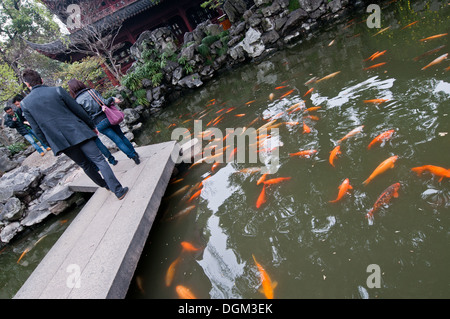 Koi Fische in Yu-Garten (Garten der Glückseligkeit oder Garten des Friedens) in alte Stadt von Shanghai, China Stockfoto