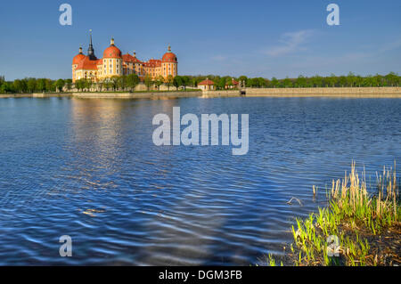 Barocke Schloss Moritzburg Schloss, Dresden, Sachsen Stockfoto