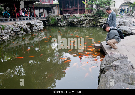 Koi Fische in Yu-Garten (Garten der Glückseligkeit oder Garten des Friedens) in alte Stadt von Shanghai, China Stockfoto