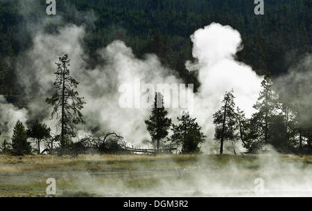 Dampfenden geothermalen Quellen und Geysiren, Firehole River, Midway Geyser Basin, Yellowstone-Nationalpark, Wyoming Stockfoto