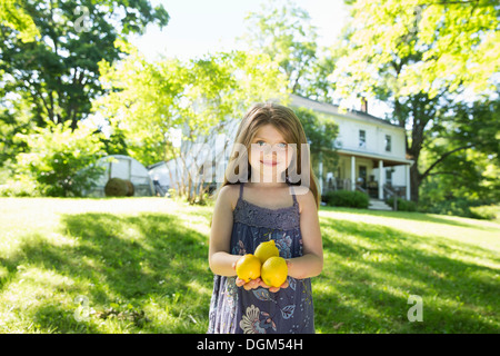 Im Freien im Sommer. Auf dem Bauernhof. Ein Mädchen im Garten mit drei großen Zitrusfrüchten in der Hand. Stockfoto