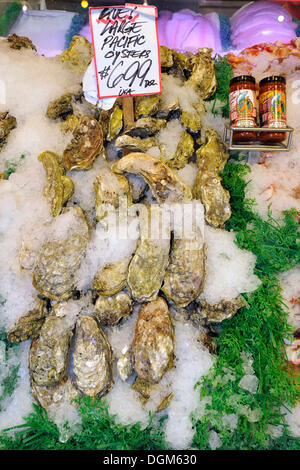 Große frische Pazifische Austern auf Eis, Pike Place Market, öffentlichen Markt, Fischmarkt, Seattle, Washington, Vereinigte Staaten von Amerika Stockfoto