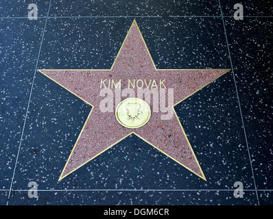 Terrazzo-Stern für die Künstlerin Kim Novak, film Kategorie, Walk of Fame, Hollywood Boulevard, Hollywood, Los Angeles, Kalifornien Stockfoto