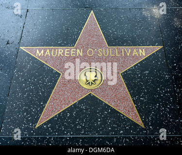 Terrazzo-Stern für die Künstlerin Maureen O'Sullivan, film Kategorie, Walk of Fame, Hollywood Boulevard, Hollywood, Los Angeles Stockfoto