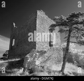 Schloss Burg Mödling, Infrarot-Foto, Mödling, Niederösterreich, Österreich Stockfoto