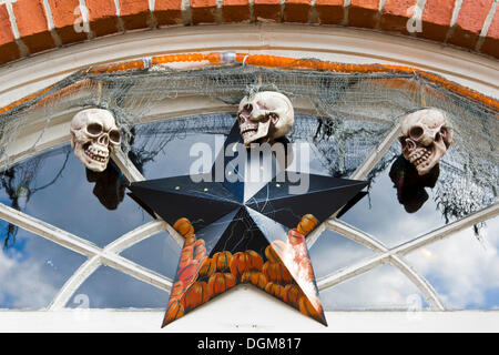 Halloween Dekoration am Eingang eines Ladens in Newburyport, Massachusetts, New England, USA Stockfoto