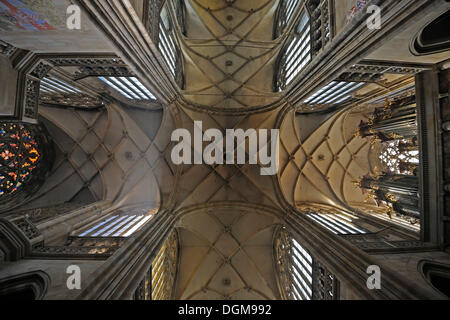 Gekreuzt, Decke, gotische St. Vitus Cathedral, Prager Burg Hradschin, Prag, Böhmen, Tschechische Republik, Europa Stockfoto