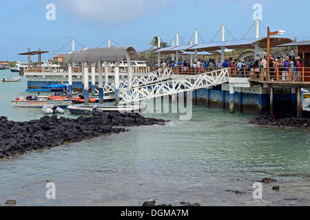 Kai und Molen als Ausgangspunkt für Galapagos Kreuzfahrten auf den Hafen von Puerto Ayora, Santa Cruz Island Stockfoto