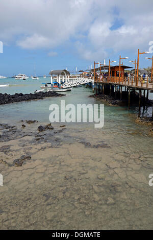 Kai und Molen als Ausgangspunkt für Galapagos Kreuzfahrten auf den Hafen von Puerto Ayora, Santa Cruz Island Stockfoto