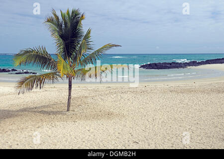 Bucht und Strand in Puerto Villamil, Isabela Island, Galapagos-Inseln, UNESCO-Weltkulturerbe, Ecuador, Südamerika Stockfoto