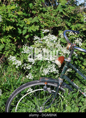 Verlassene Fahrrad in Amsterdam. Stockfoto