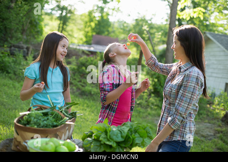 Bio-Bauernhof. Sommer-Party. Eine Frau, ein junges Mädchen frische gepflückte Kirschen füttern. Stockfoto