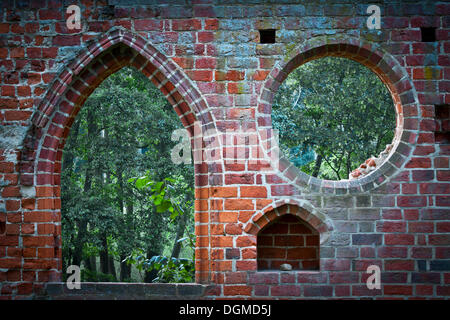 Fenster in eine Mauer, Ruinen von Boitzenburg Abbey, Boitzenburg, Uckermark, Brandenburg, Deutschland Stockfoto