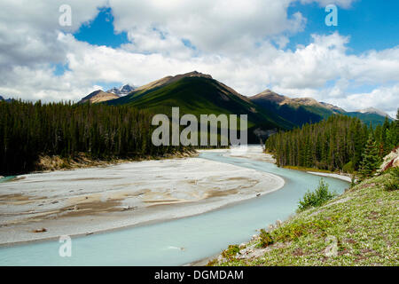 Ein Gletscherfluss in den Rocky Mountains, Banff Nationalpark, Alberta, Kanada Stockfoto