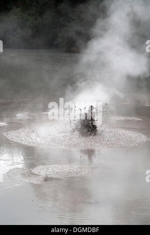 Kochendem Schlamm-Pool, Wai-O-Tapu, Bay of Plenty, New Zealand Stockfoto