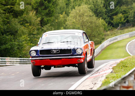 Ford Mustang springen an einem Sprung Hügel, AC Cobra, Oldtimer Grand Prix Nürburgring 2010-Rennen, Nürburgring Rennstrecke Stockfoto