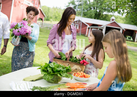 Familienfest. Eltern Kinder Tisch Zubereitung frisch gepflückte Salate, Obst Gemüse Stockfoto