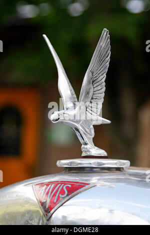 Kühlerfigur, Alvis Silver Crest, Baujahr 1935, International Großglockner Grand Prix 2012, Oldtimer-Berg Rallye Stockfoto