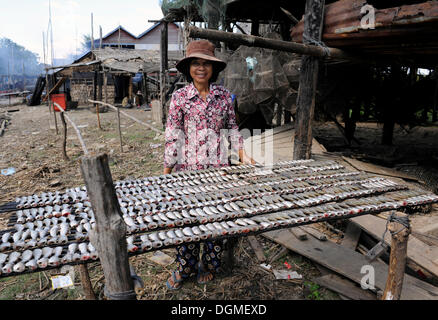 Frau Fisch Außerbetriebnahme im Dorf Kampong Khleang, trocknen Kompong Kleang auf dem Tonle Sap See, Siem Reap, Kambodscha Stockfoto