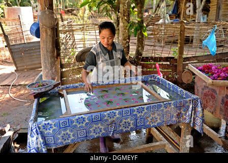 Frauen, die Herstellung von Papier aus dem Holz der Maulbeerbäume, Ban Xang Khong, Luang Prabang, Laos, Südostasien Stockfoto