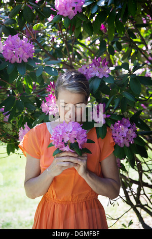 Eine Frau in einem orange Sommer Kleid unter einem Strauch stehen hält eine große lila Flowerhead. Stockfoto