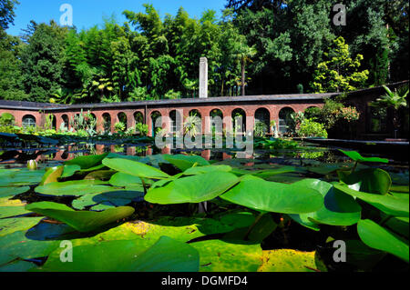 Botanische Gärten, Giardini di Villa Taranto, Verbania, Lago Maggiore, Piemont, Italien, Europa Stockfoto