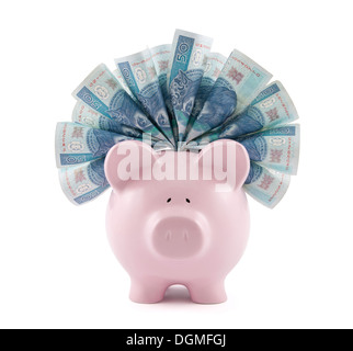 Sparschwein mit polnischen Geld. Clipping-Pfad enthalten. Stockfoto