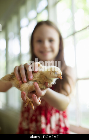 Ein junges Mädchen in einer blumigen Sommerkleid, eine junge Küken vorsichtig in ihren Händen hält. Stockfoto