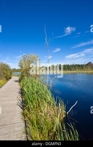 Quelle des Neckars, Schwenninger Moos Marsh, Natur-reserve, Villingen Schwarzwald, Baden-Württemberg Stockfoto