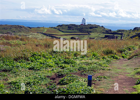 Blick vom Weg auf der Isle of May. Stockfoto