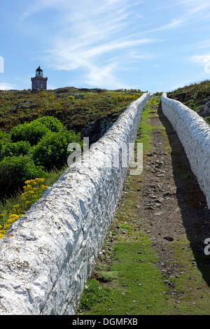 Fußweg zu den Low-Light auf behalten der Isle of May, eine RSPB im Firth of Forth, von Fife, Schottland Stockfoto