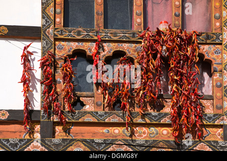 Bhutan, Paro Basar, rote Chilischoten trocknen in der Sonne draußen traditionell verzierte Gebäude Stockfoto