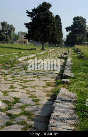 Via Sacra, alte Straße in Paestum, Italien, Europa Stockfoto