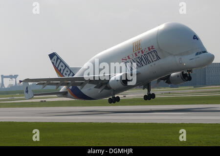 Flugzeug Airbus Beluga abheben, Hamburg Stockfoto