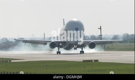 Flugzeug Airbus Beluga abheben, Hamburg Stockfoto