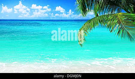 Strand, schöne Panorama-Meerblick, mit klarem Wasser & blauer Himmel Stockfoto