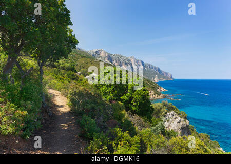Trail am Fuße des Su Golgo-Plateau in der Nähe von Santa Maria Navarese, Baunei, Ogliastra Provinz, Sardinien, Italien, Europa Stockfoto