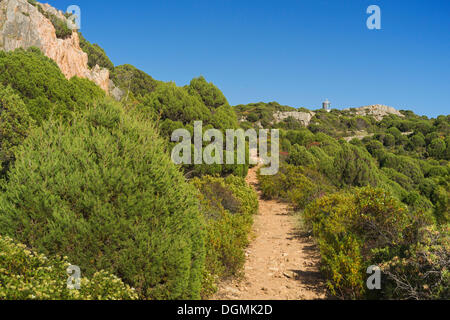 Wanderweg zum Capo Spativento Leuchtturm, Costa del Sud, Sardinien, Italien, Europa Stockfoto