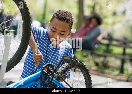 Eine Familie im Park an einem sonnigen Tag. Vater und Sohn ein Fahrrad reparieren. Stockfoto