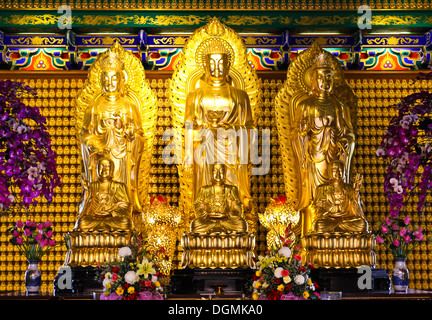 Die drei Buddhas im chinesischen Tempel von Thailand Stockfoto
